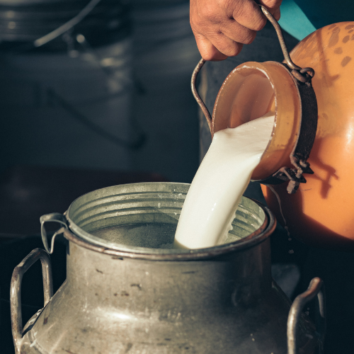 Traditional dairy products